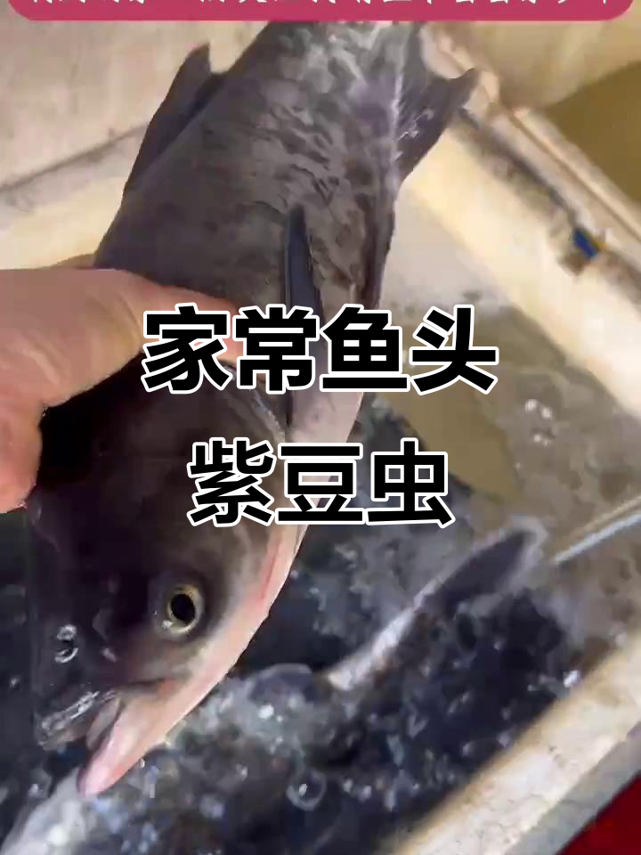 鱼头煮豆葱,家乡的味道让人怀念