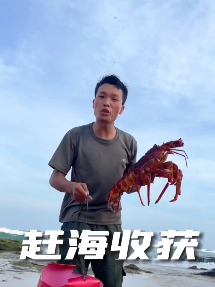 赶个海,捡个十斤重的大龙虾!