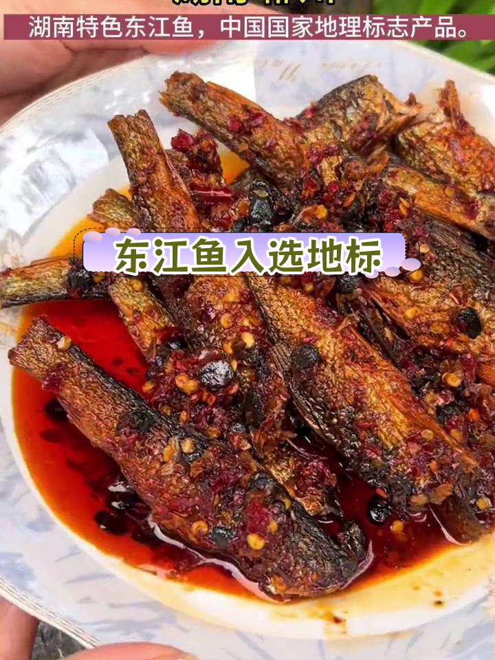 东江鱼获地理标志保护,资兴特产再添荣耀