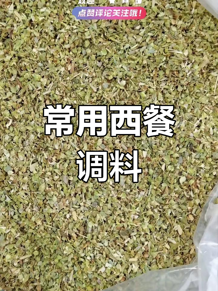 西餐必备香料披萨草