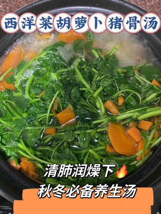 秋冬常备汤清润下西洋菜胡萝卜猪骨汤