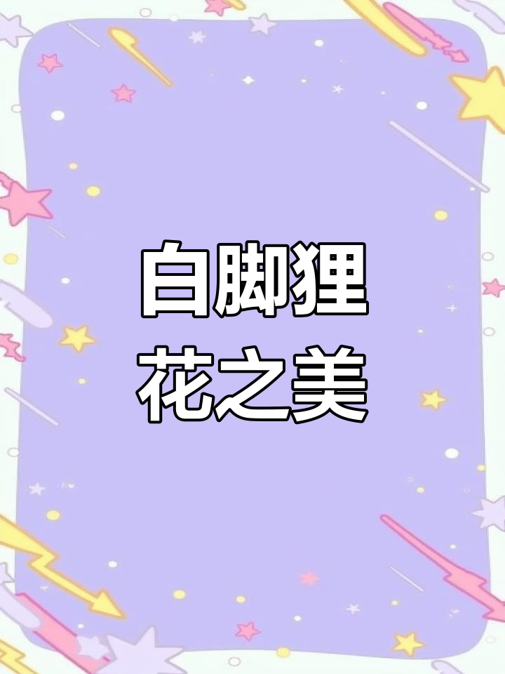 狸花猫颜值出众,白脚更是罕见,真是独特又美丽的存在