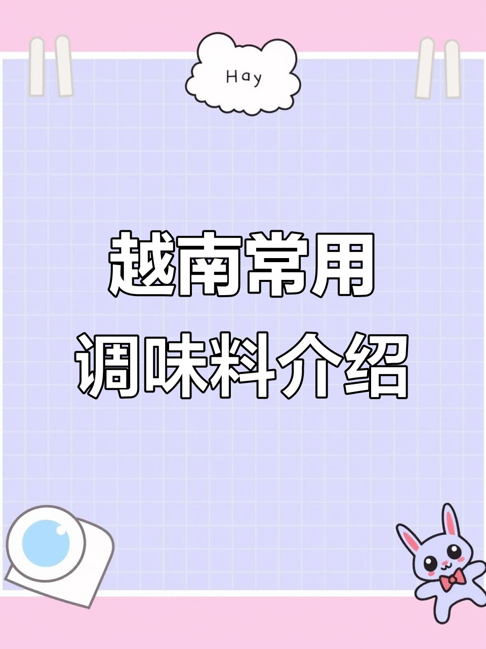 越南调味料大揭秘:从酱油到辣椒酱的全方位解析