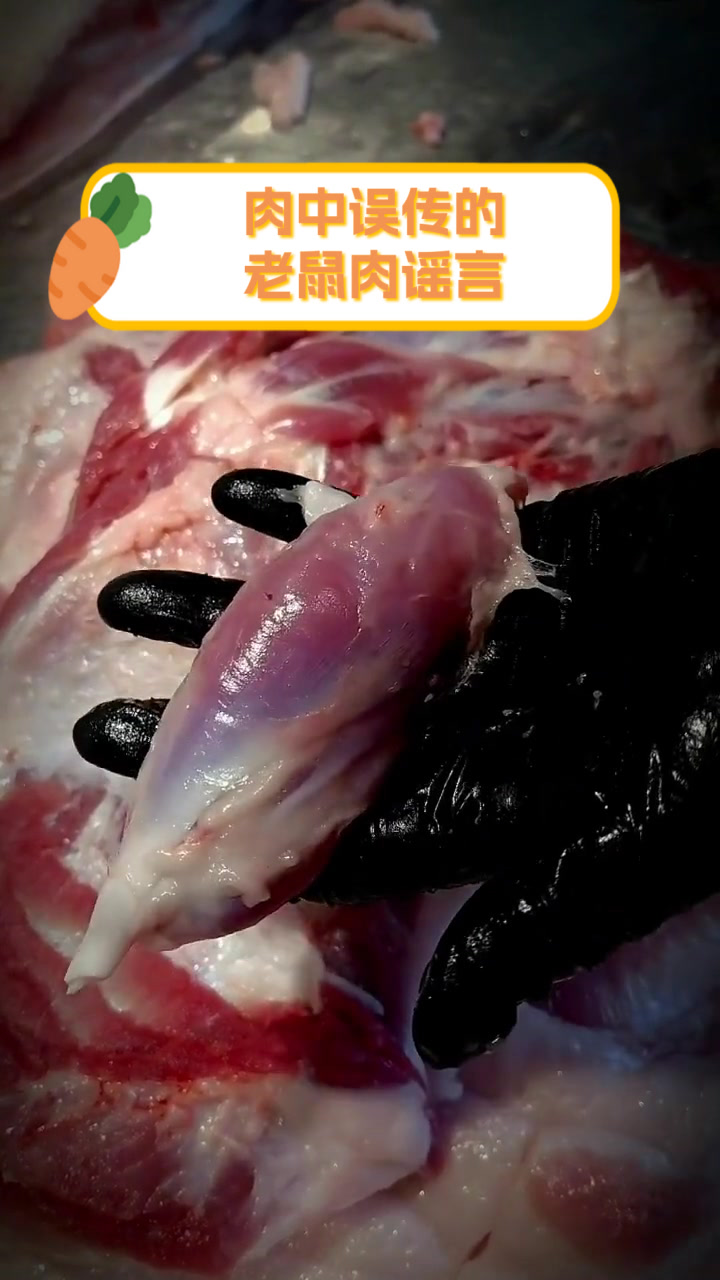 肉中误传的老鼠肉谣言