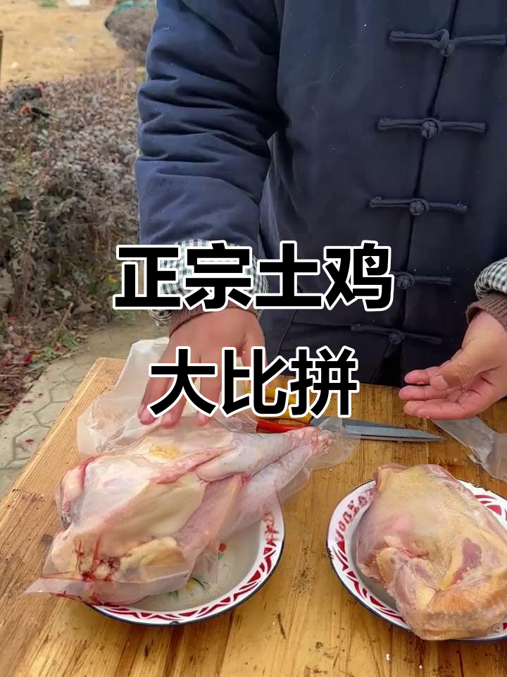 网上热销的土鸡与自家老母鸡对比，哪个更正宗？