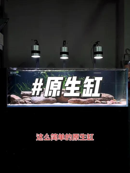 1.5米原生缸翻缸、换个新的造型 鱼缸里的大自然 溪流缸 鱼缸造景 造景 养鱼养心