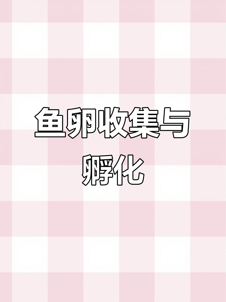 红帝鱼卵孵化全过程，轻松收集与分离技巧