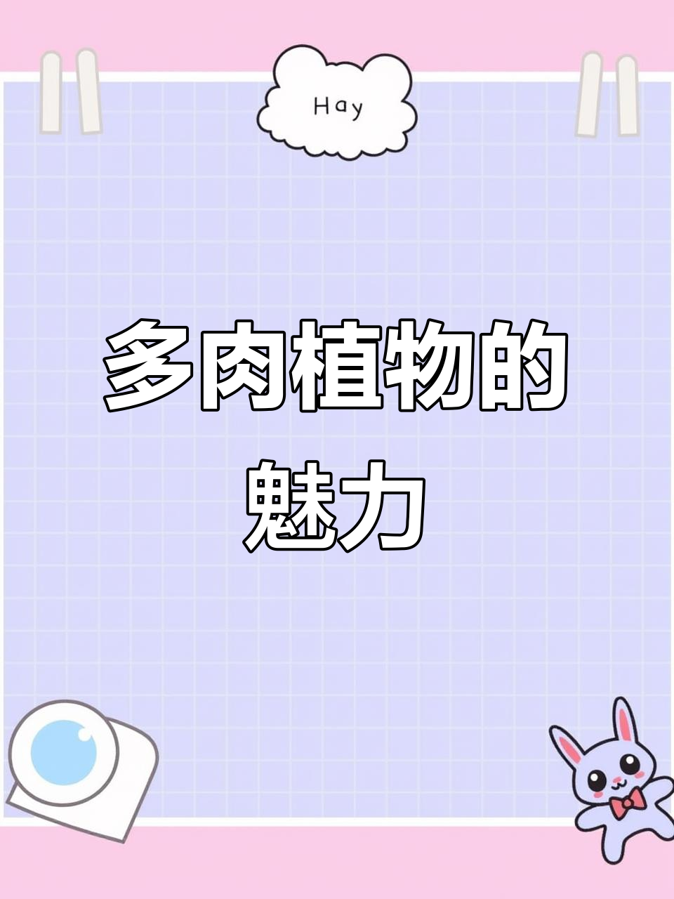 韩国多肉植物的美妙世界,治愈生活的每一刻