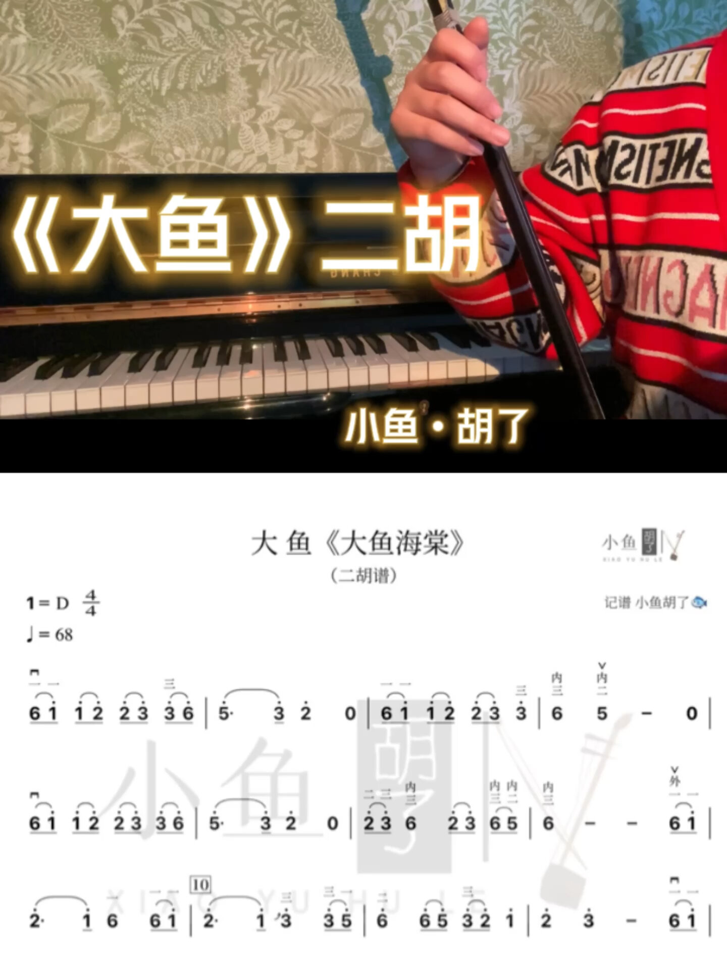 《大鱼》二胡