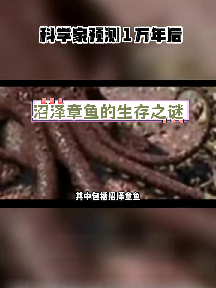 未来地球新物种:沼泽章鱼揭秘