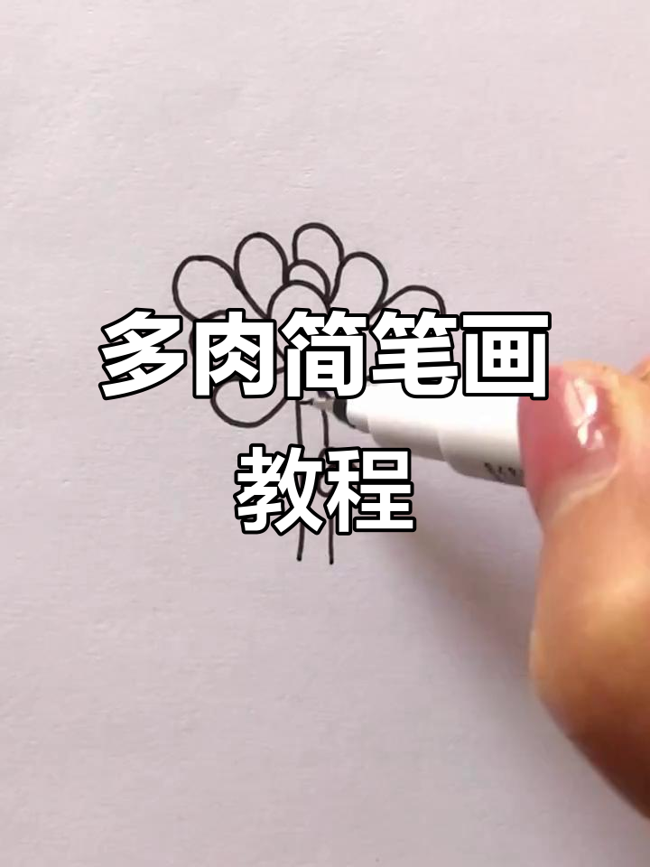 轻松学画多肉植物,简单又有趣