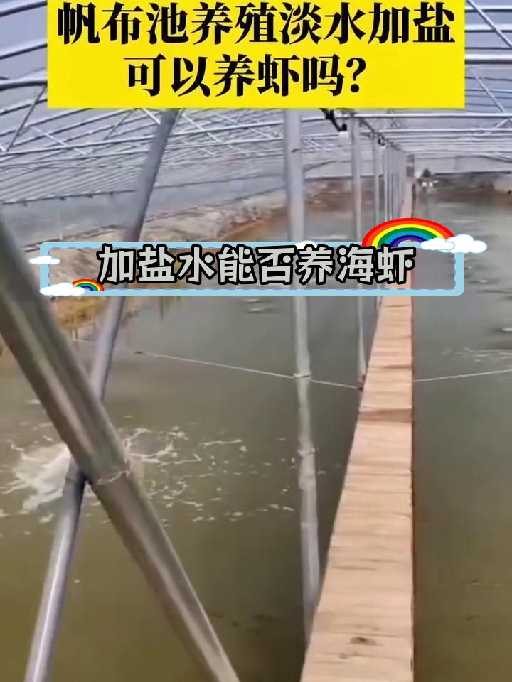 淡水加盐能养海虾吗?