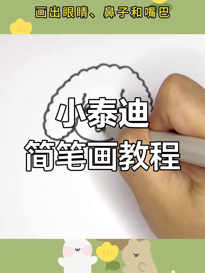 轻松学画小泰迪,简单又可爱