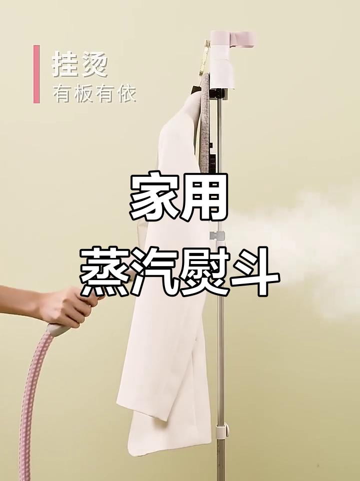 荣事达手持蒸汽熨斗,轻松烫衣,适合家庭与服装店使用
