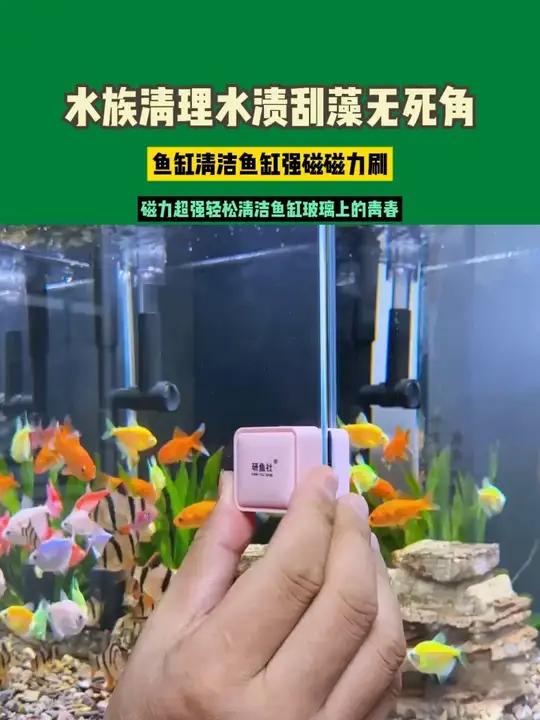 鱼缸清洁鱼缸强磁磁力刷，磁力超强轻松清洁鱼缸玻璃上的青春，适合八毫米以内鱼缸玻璃 鱼缸磁力