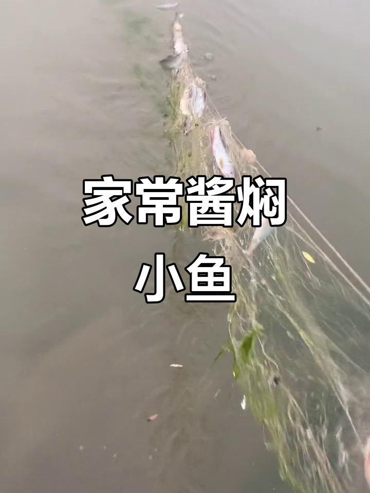 酱焖小河鱼，家常做法超有味