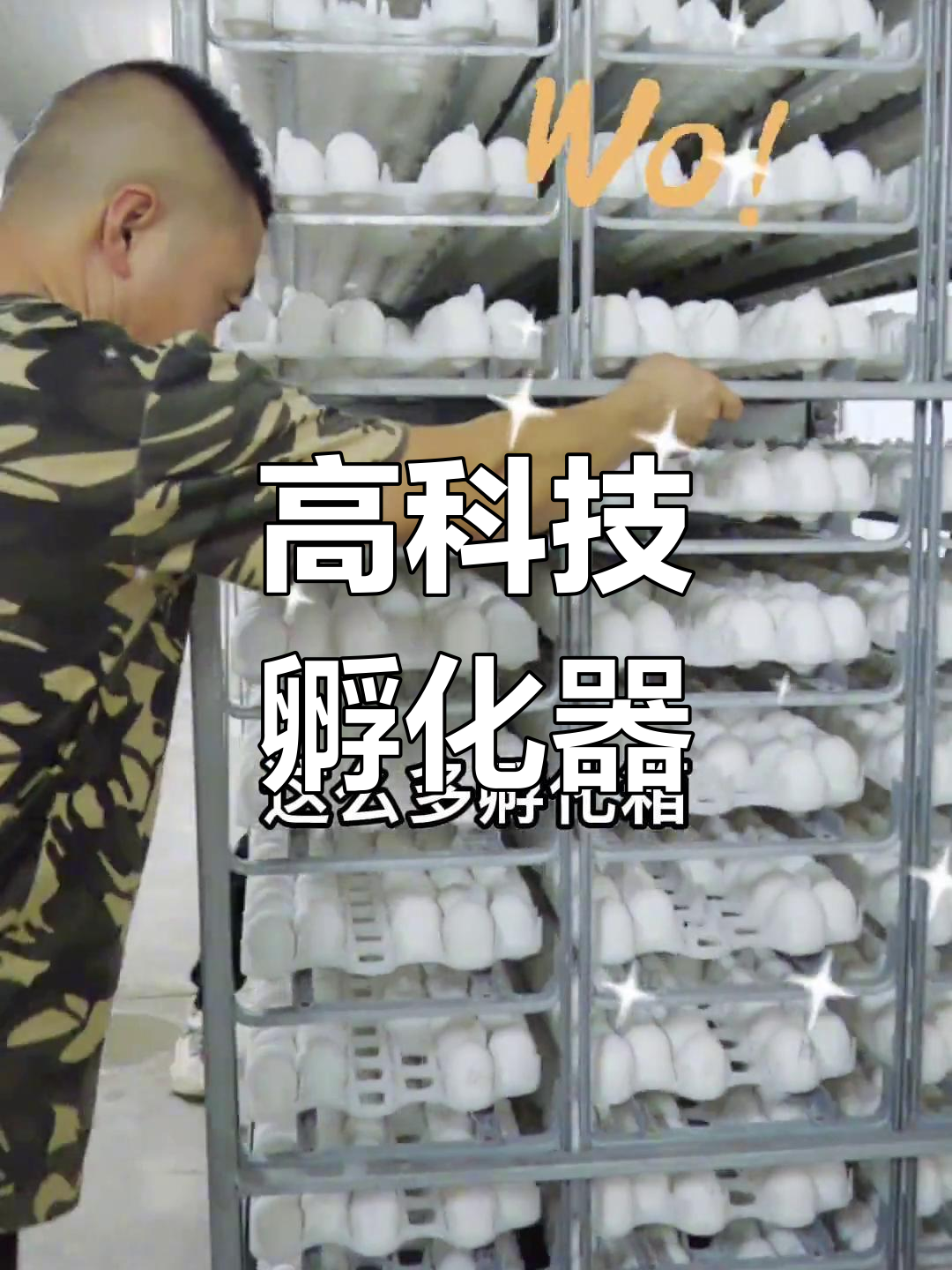 小黄探访高科技孵化器,日产三万鸭蛋,效率惊人!