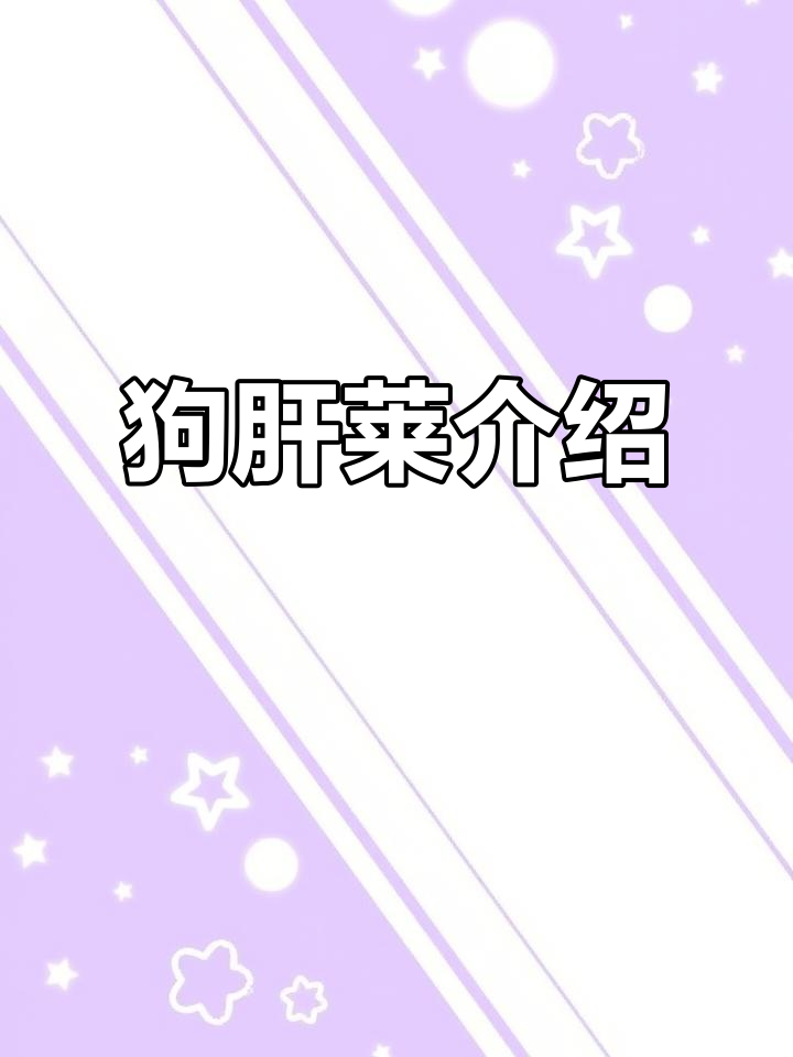 了解狗肝莱:一种有趣的植物花草