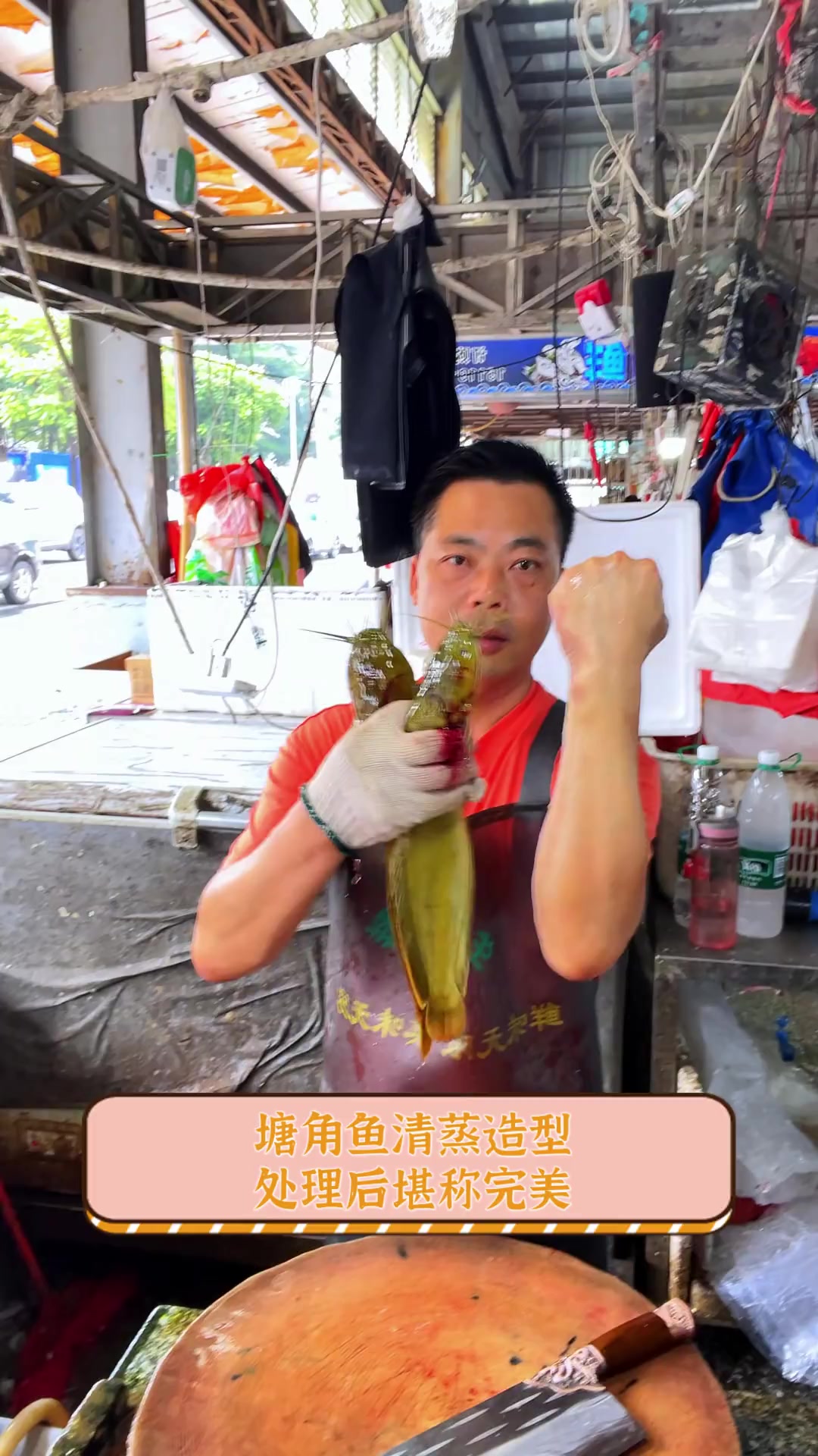 塘角鱼清蒸造型,处理后堪称完美