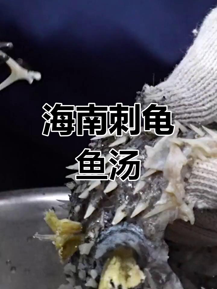 刺龟鱼汤的做法大公开,海南风味十足
