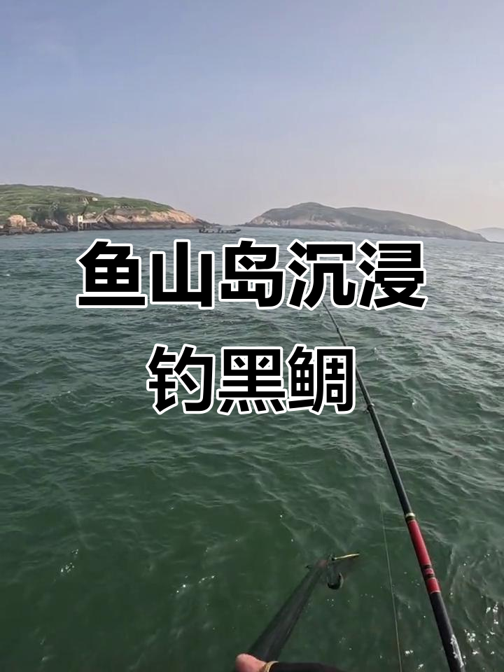 五一假期后,鱼山岛人少安静,沉浸式钓鱼体验黑雕乐趣