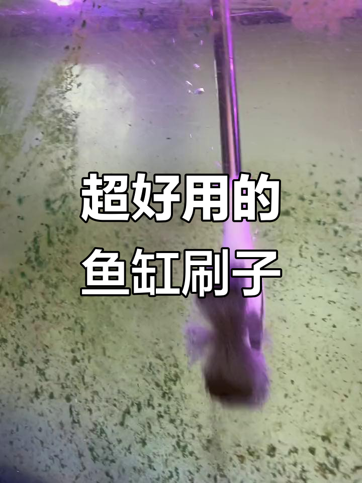 鱼缸清洁神器,刷子轻巧又高效