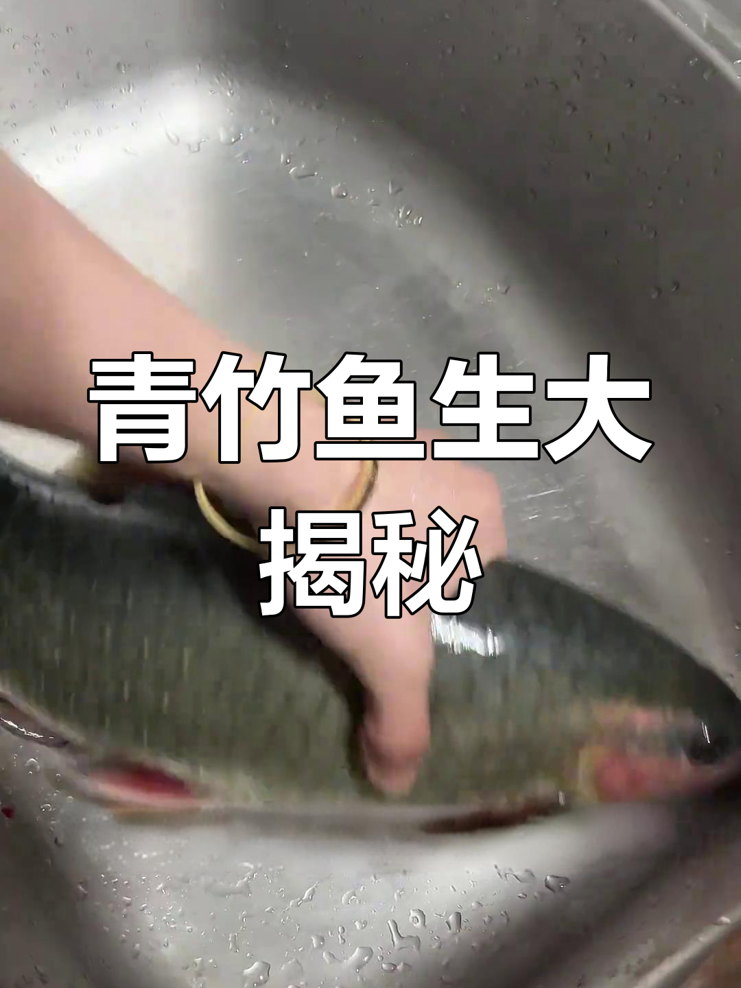 广西横县青竹鱼生,吃过一次就上瘾!