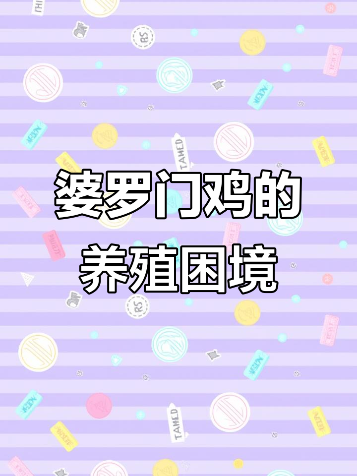 婆罗门鸡为何难养？价格昂贵又不好卖，养殖成本高才是关键