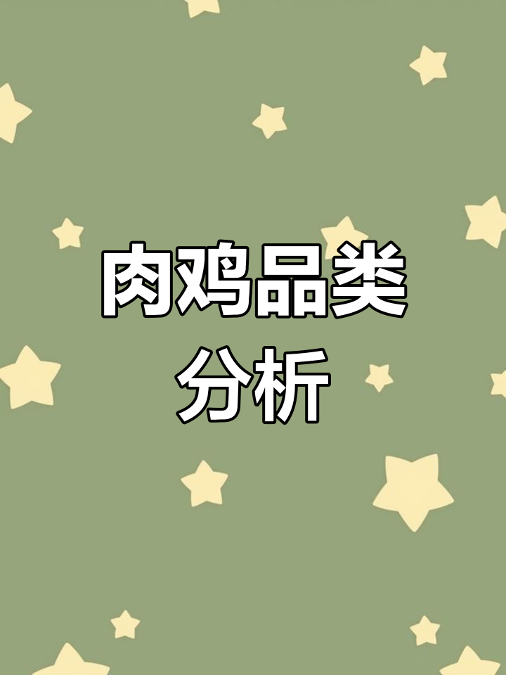 白羽肉鸡市场分布:四大品种占主导,其他种类占比5%