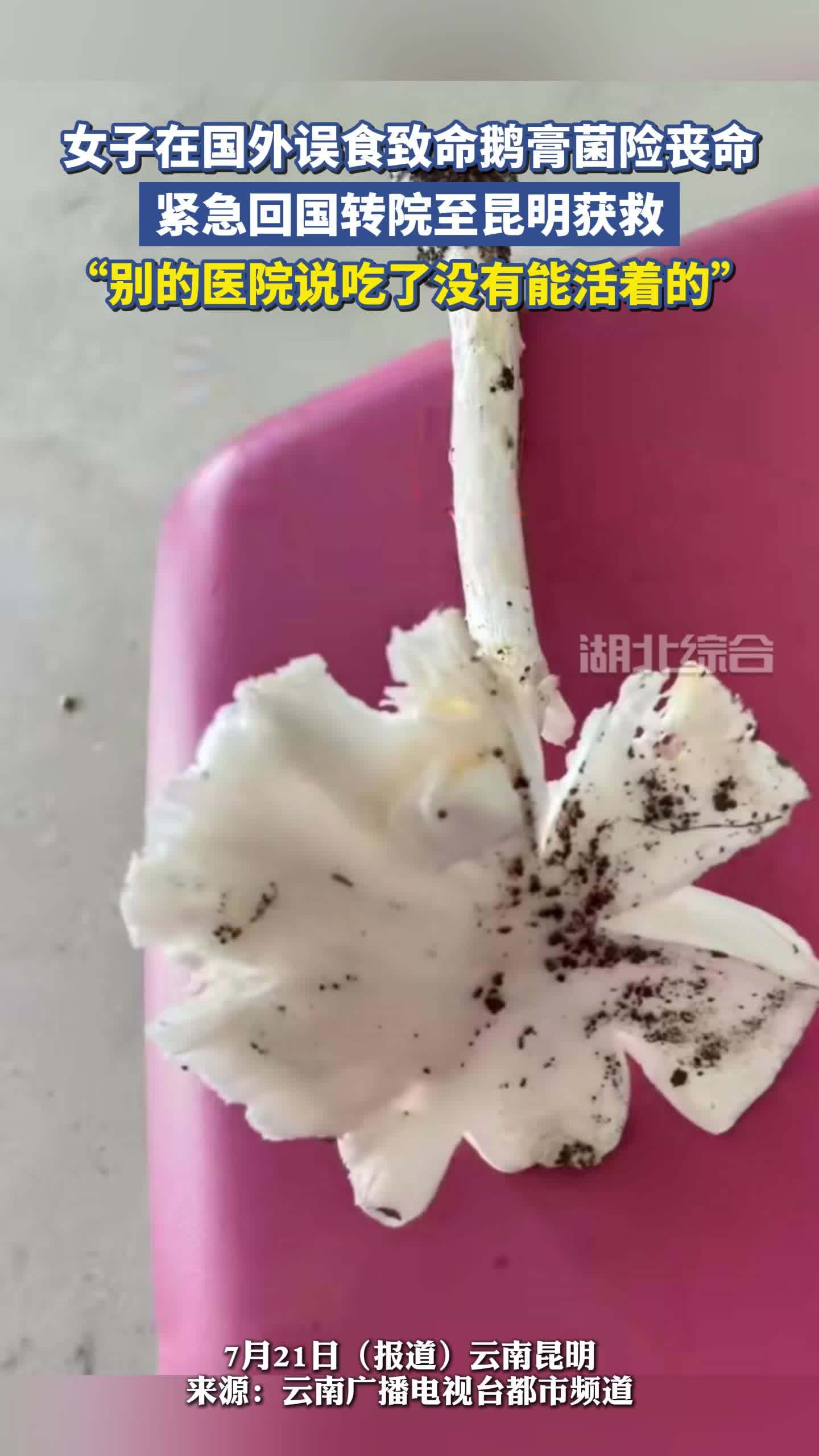 女子在国外误采毒菌食用险丧命,紧急回国转院至昆明获救