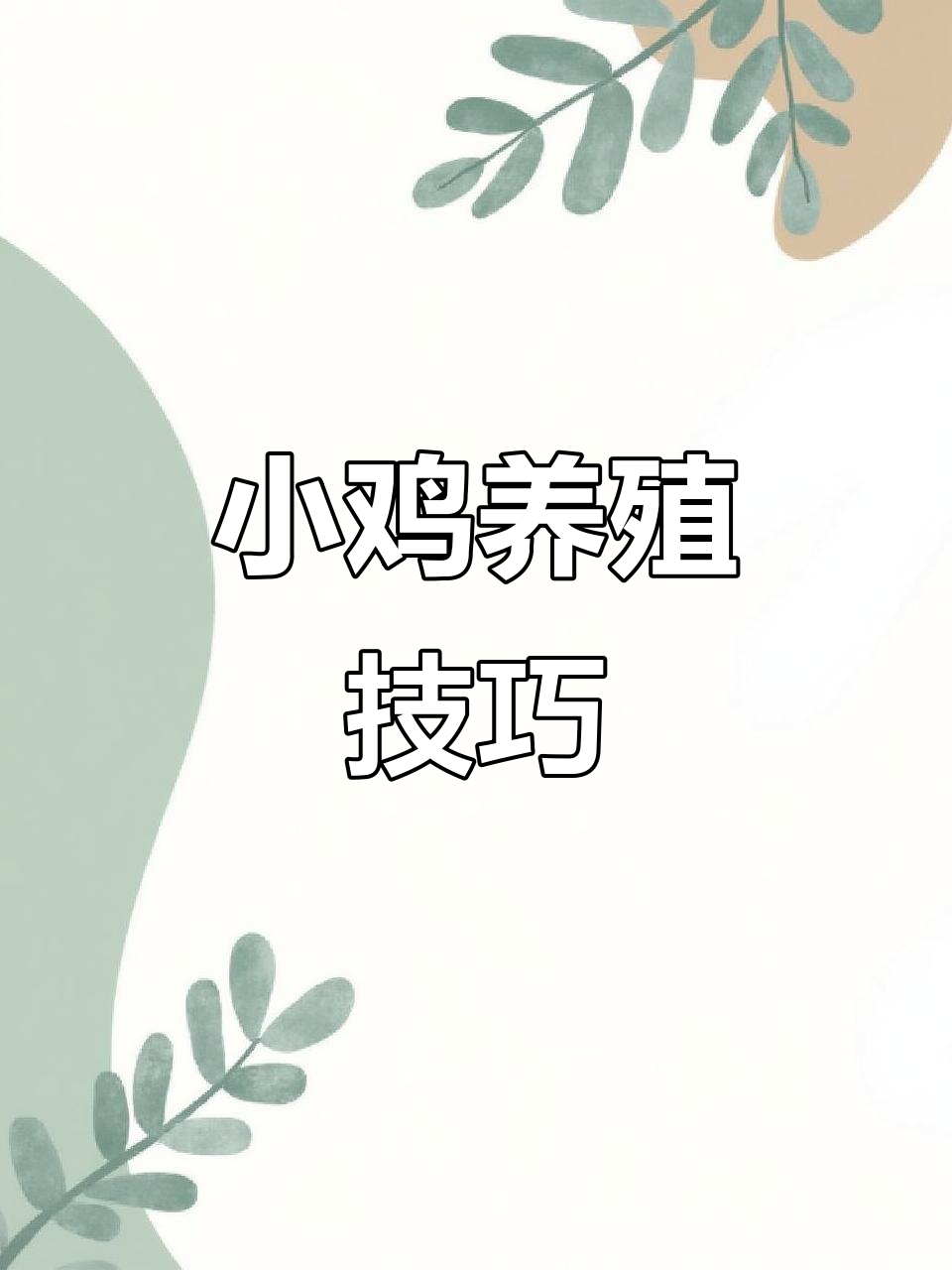 从出壳到成长,小鸡饲养全攻略