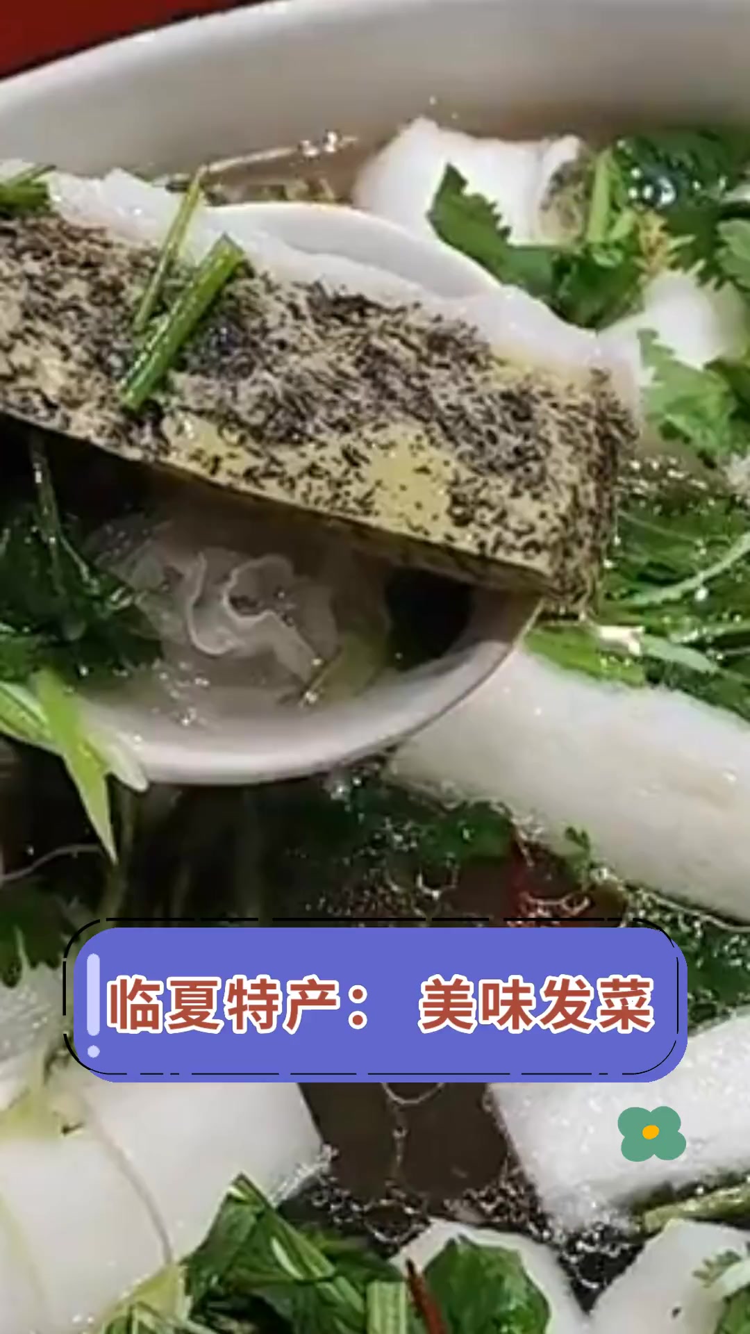 临夏特产:美味发菜
