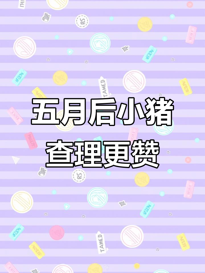 小猪查理自助烤肉大揭秘,五个月升级超值体验