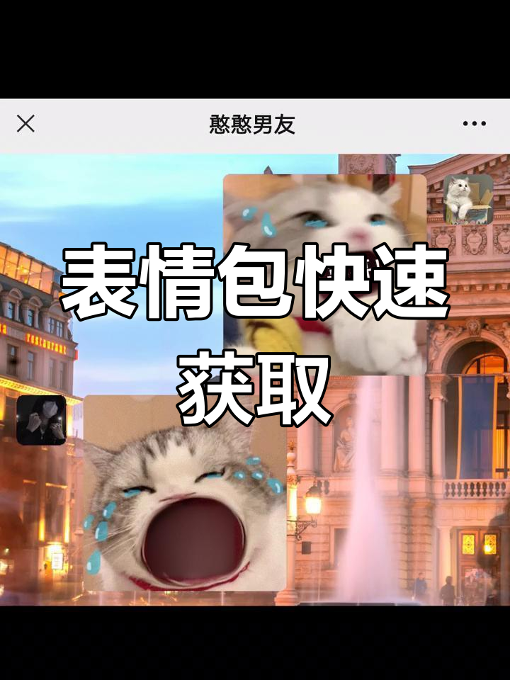 在搜索框输入“3W5X4”,轻松获取同款表情包!