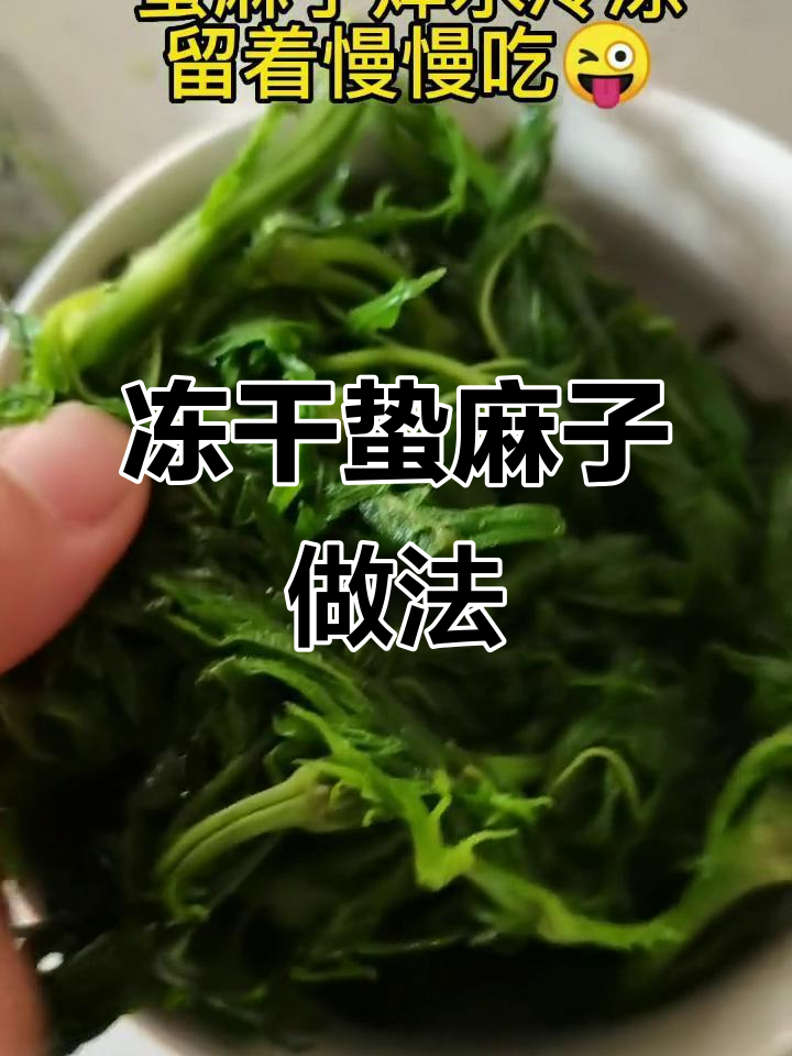 蛰麻子焯水冷冻,慢慢吃更美味