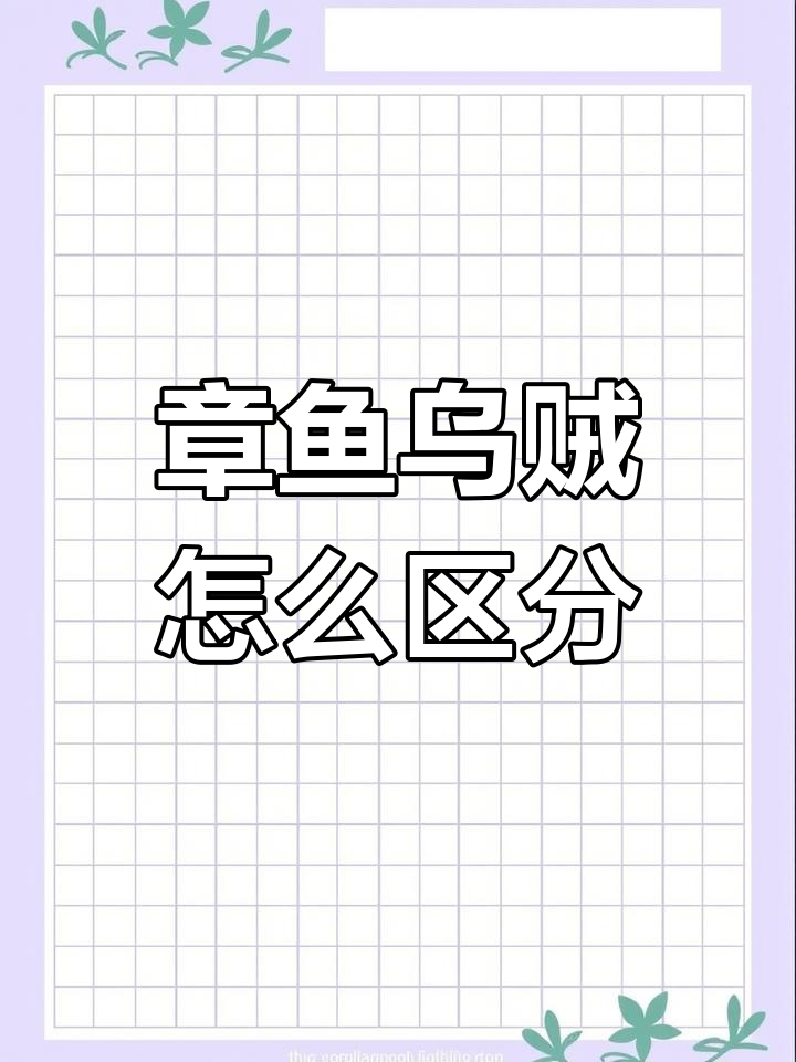 鱿鱼、乌贼和章鱼的真相,别再傻傻分不清了!