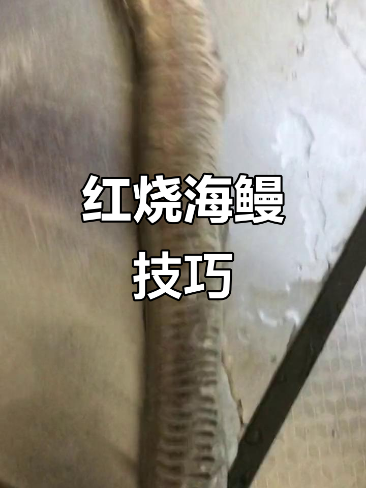 海鳗鱼刺多,红烧做法大揭秘