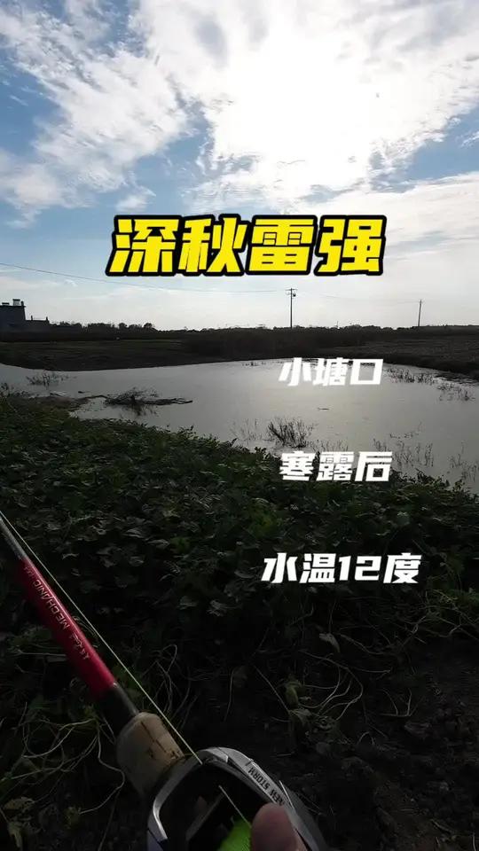 深秋雷强,水温12度,坚持出行,找找小塘口,没想到还有惊喜!钓鱼 雷强打黑 路亚 黑鱼 真