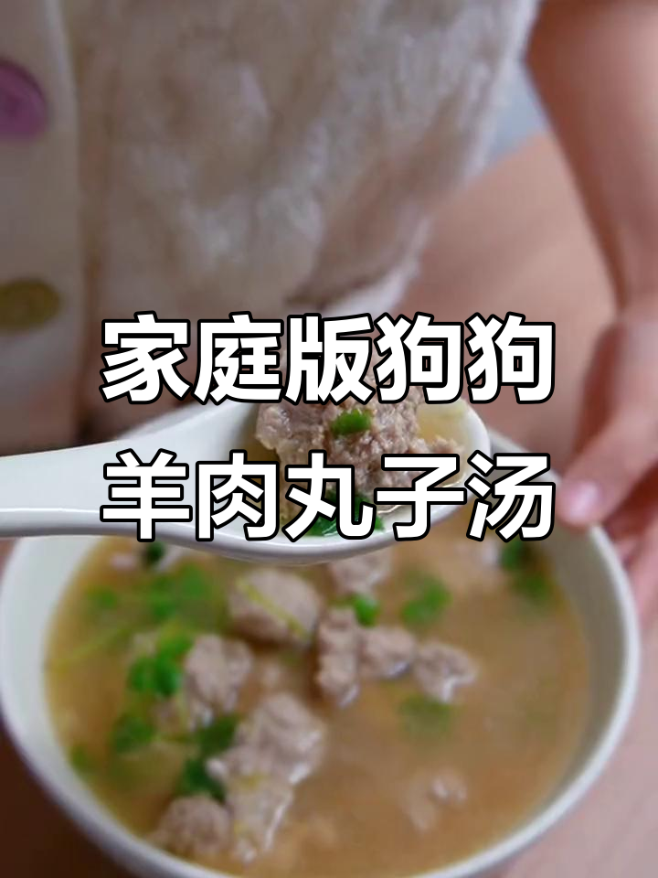 自制羊肉丸子汤,简单又美味!狗饭也能这么丰富
