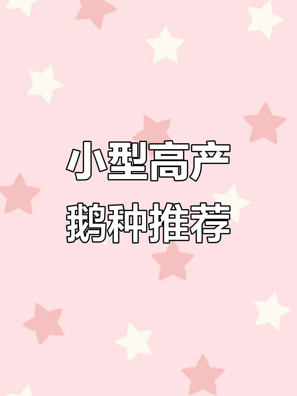 火眼鹅:体型小但产蛋多,年产160-210枚