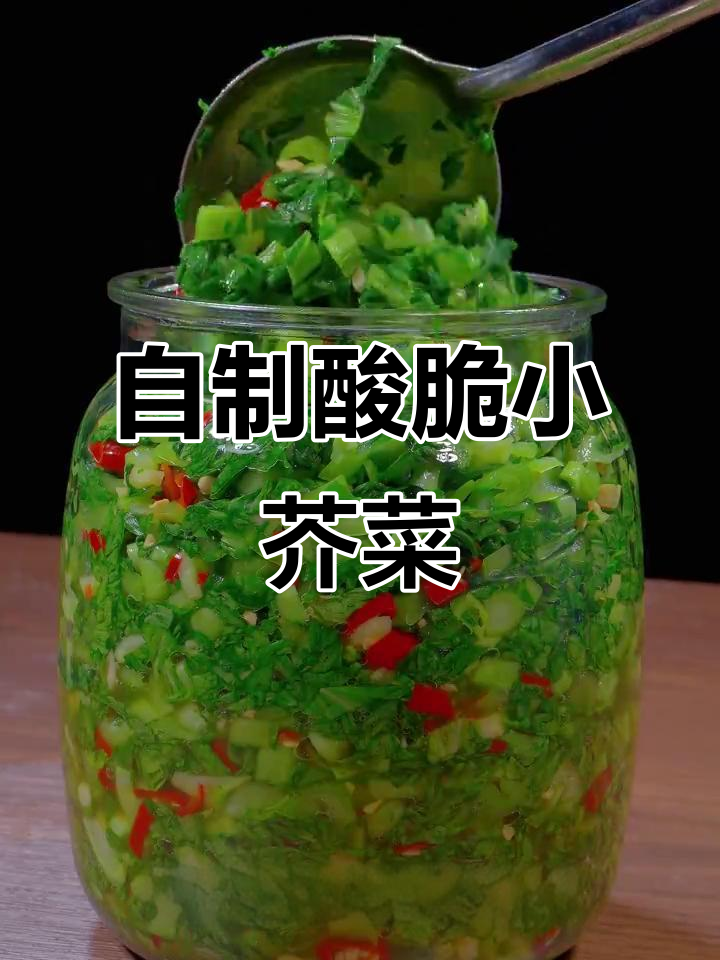 酸脆爽口小芥菜，三天搞定家常酸菜