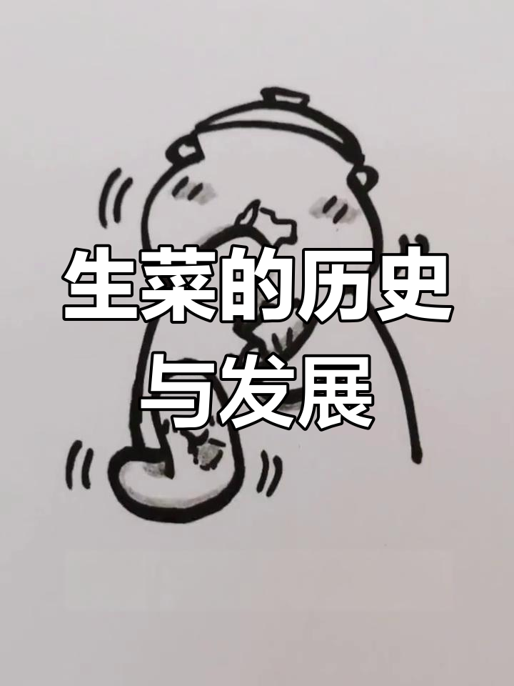 生菜的起源与演变,从欧洲到汉堡的蜕变