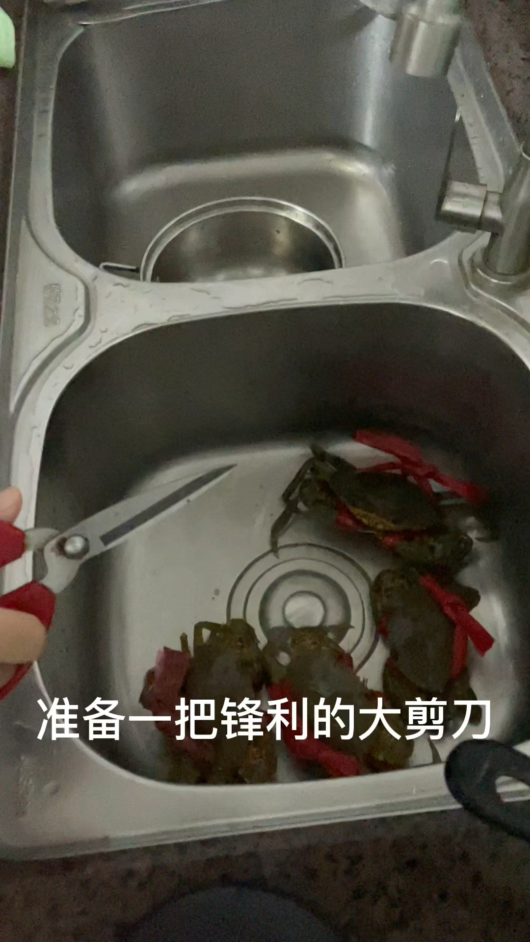 螃蟹的洗法（清洗螃蟹的4个小窍门） - 科猫网