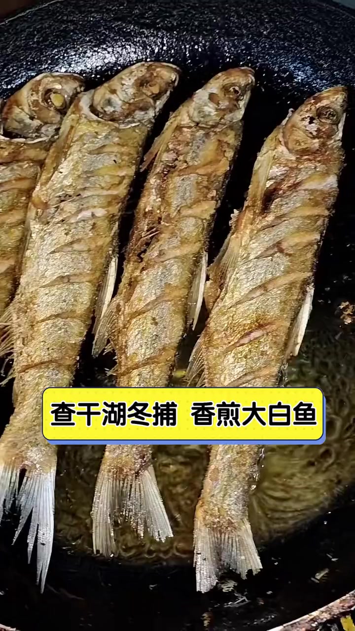 查干湖冬捕香煎大白鱼