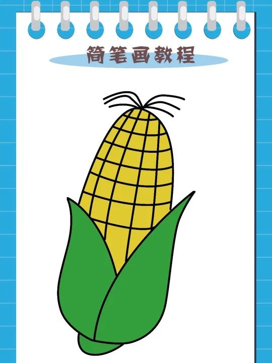 玉米简笔画