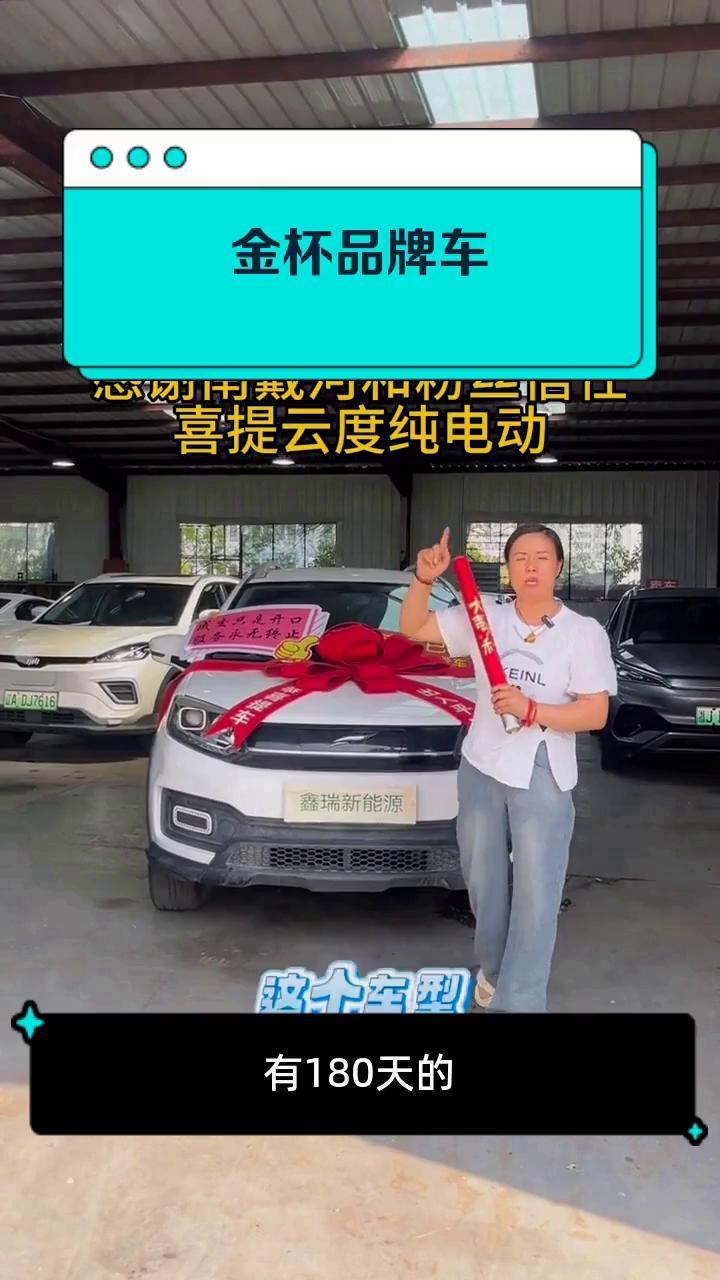 金杯品牌车