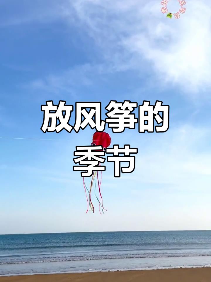 春天放风筝,大章鱼软体风带你飞向蓝天