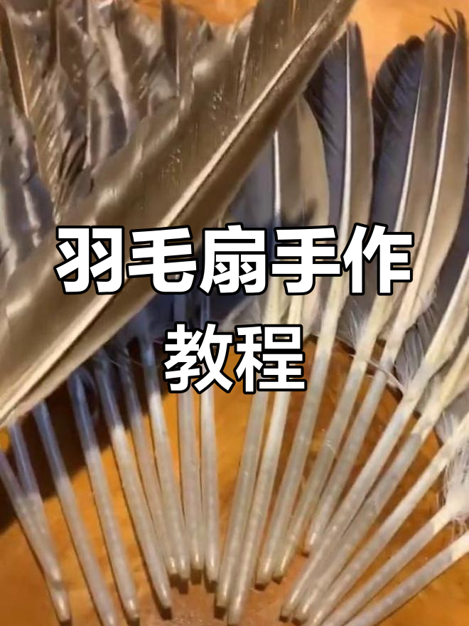 用鹅毛制作手工扇子