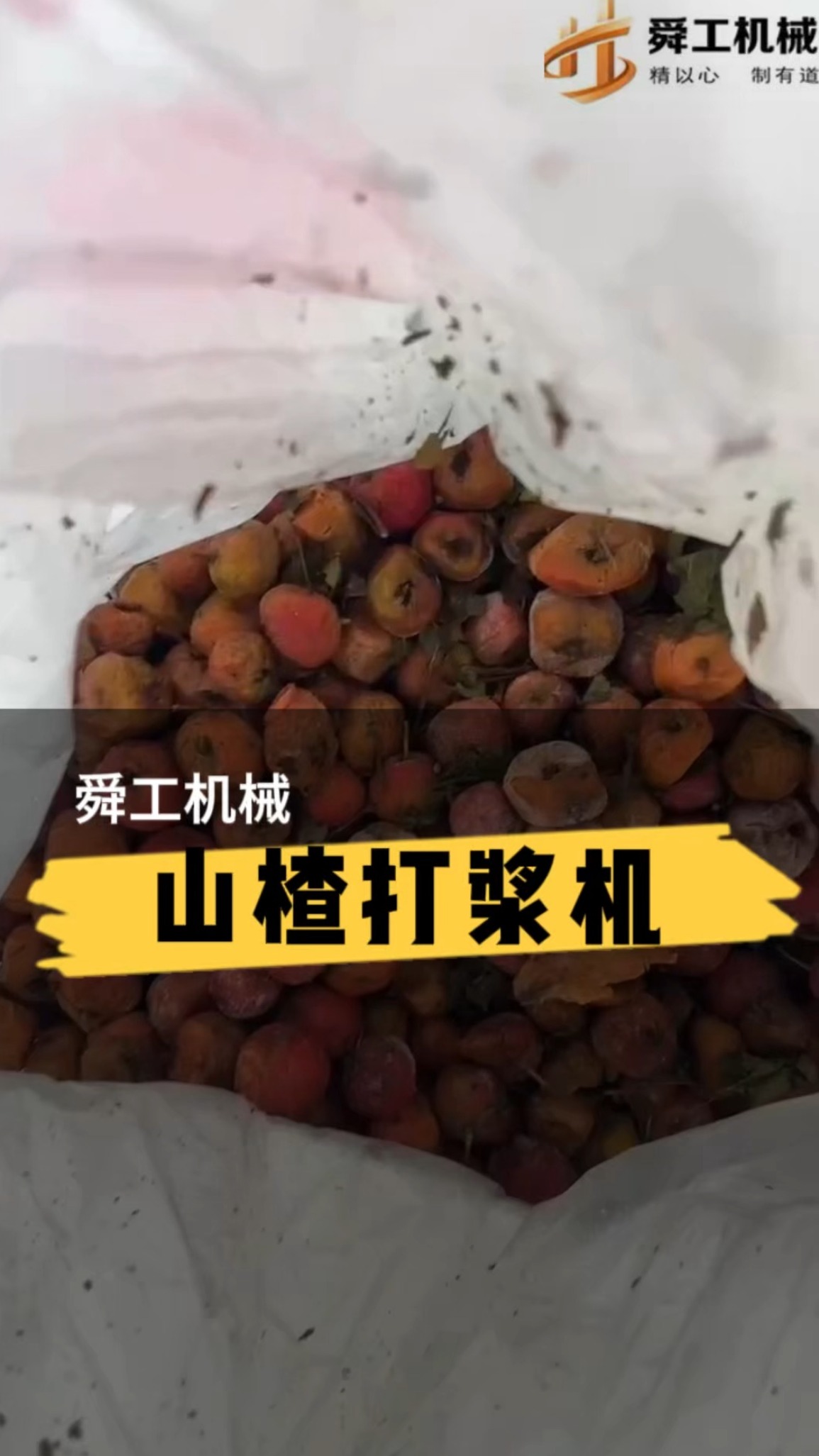 水果蔬菜去渣打浆机 大型不锈钢果蔬红枣山楂打泥打浆机