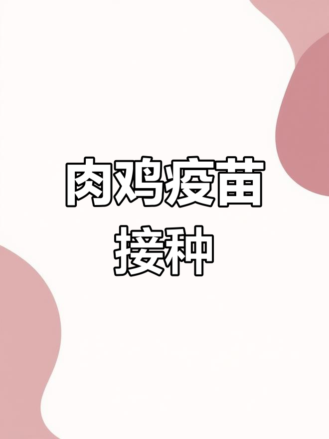 肉鸡疫苗接种程序解析